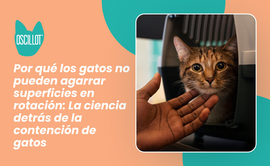 Por qué los gatos no pueden agarrar superficies en rotación: La