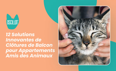 12 Solutions Innovantes de Clôtures de Balcon pour Appartements Amis des Animaux