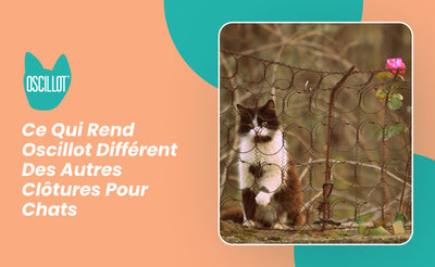 Ce Qui Rend Oscillot Différent Des Autres Clôtures Pour Chats