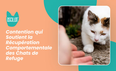 Contention qui Soutient la Récupération Comportementale des Chats de Refuge