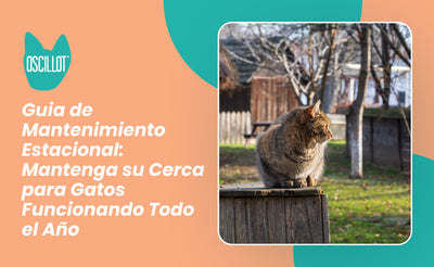 Guía de Mantenimiento Estacional: Mantenga su Cerca para Gatos Funcionando Todo el Año