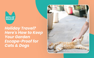 Holiday Travel? Here's How to Keep Your Garden Escape-Proof for Cats & Dogs