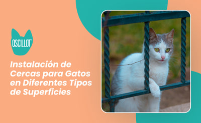 Instalación de Cercas para Gatos en Diferentes Tipos de Superficies