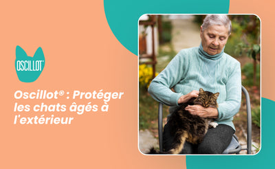 Oscillot® : Protéger les chats âgés à l'extérieur