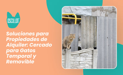 Soluciones para Propiedades de Alquiler: Cercado para Gatos Temporal y Removible
