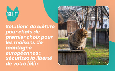 Solutions de clôture pour chats de premier choix pour les maisons de montagne européennes : Sécurisez la liberté de votre félin